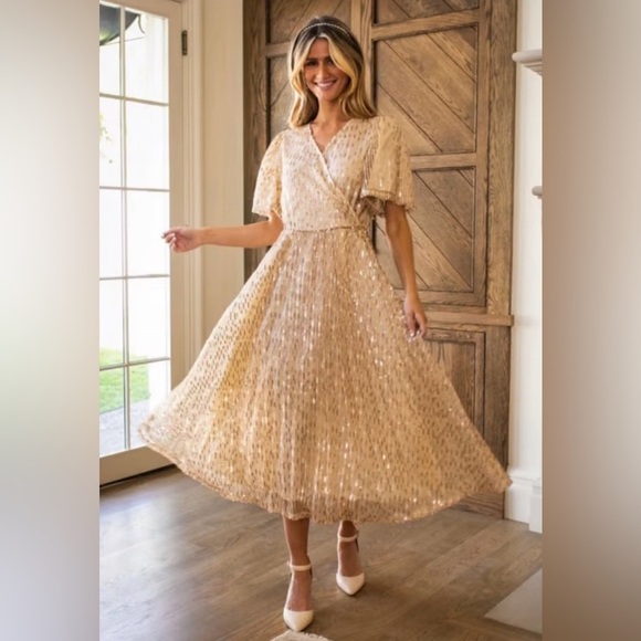 NWT Ivy City Co. Goldie Sequin Fit & Flare Short Sleeve Midi Party Dress XL - Picture 1 of 9